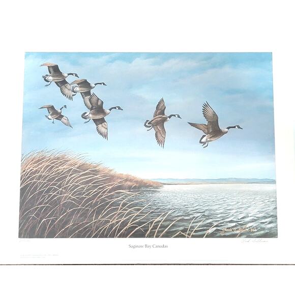 1981 Duck Stamp Press Print Pencil Signed & Numbered By Clark Sullivan 23x18 - Picture 1 of 8